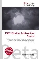 1982 Florida Subtropical Storm