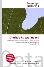 Diorhabda sublineata