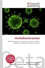 Acetobacteraceae