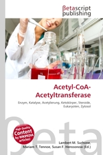 Acetyl-CoA-Acetyltransferase