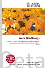 Acer (Gattung)
