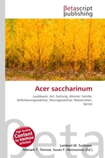 Acer saccharinum