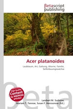 Acer platanoides