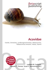 Acavidae