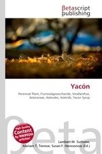 Yacon