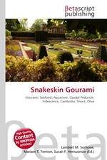 Snakeskin Gourami