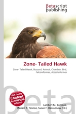 Zone- Tailed Hawk