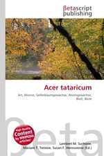 Acer tataricum