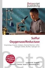 Sulfur Oxygenase/Reductase