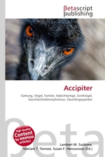 Accipiter