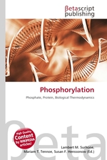 Phosphorylation