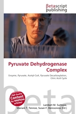 Pyruvate Dehydrogenase Complex