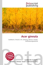 Acer ginnala