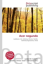 Acer negundo