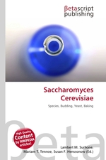 Saccharomyces Cerevisiae