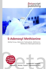 S-Adenosyl Methionine