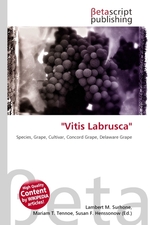 Vitis Labrusca