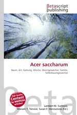 Acer saccharum