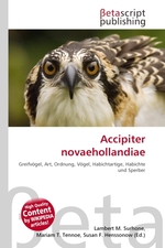 Accipiter novaehollandiae