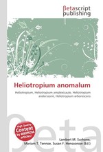 Heliotropium anomalum