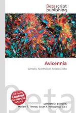 Avicennia