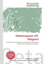 Heliotropium aff. Wagneri