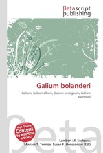 Galium bolanderi