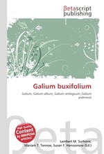 Galium buxifolium