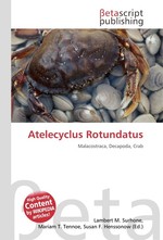 Atelecyclus Rotundatus