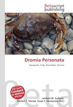 Dromia Personata