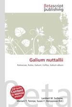 Galium nuttallii