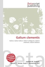 Galium clementis