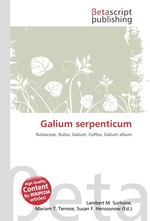 Galium serpenticum