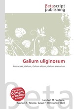 Galium uliginosum