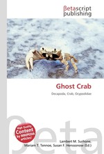 Ghost Crab