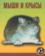 Мыши и крысы
