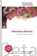 Oenothera Biennis