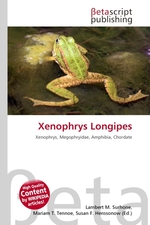 Xenophrys Longipes