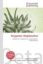 Drypetes Deplanchei