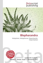 Blepharandra