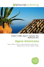 Agave Americana