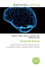 Ground tissue