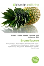 Bromeliaceae