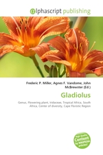 Gladiolus