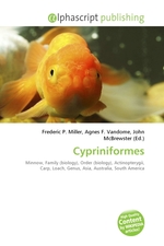 Cypriniformes