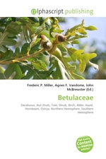 Betulaceae