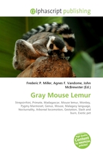 Gray Mouse Lemur