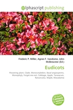 Eudicots