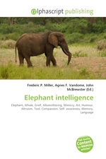 Elephant intelligence