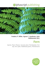 Fern